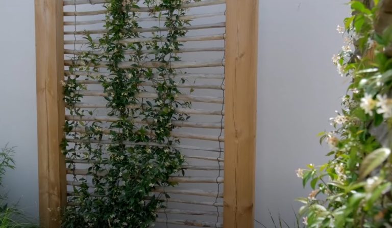 Brise vue jardin